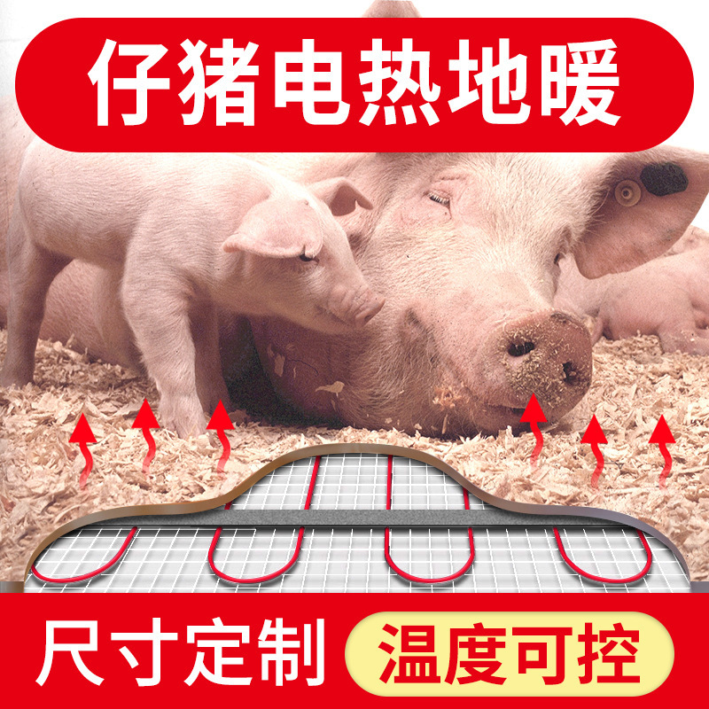 微信图片_20210303234848