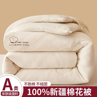 Xinjiang Cotton Quilt Core Winter Quilt 2025 New Winter Thickeneded Warm Pure Cotton Spring & Fall Quilt