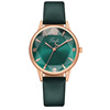 Fashionable watch, quartz watches, glossy belt, internet celebrity, wholesale