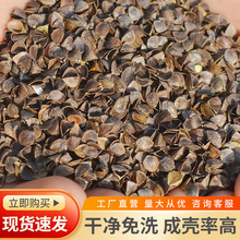 ���S�������w�����w��Ƥˮϴ�ߜ����w�����o�i�����^���