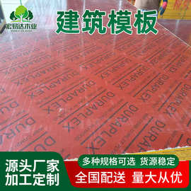 天津厂家 建筑模板覆膜竹胶板防水耐用桥梁板镜面建筑模板木工板