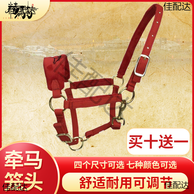 马笼头全套马笼头牵马调教大小新疆嚼子精术用品马具10一马嘴套