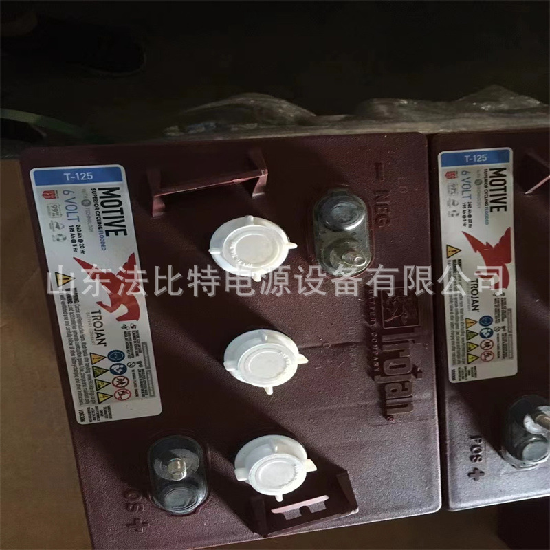 邱健铅酸蓄电池T-105进口产品6V225Ah 观光电动车 质保1年