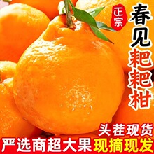 �����Ĵ���Ҋ�ҰҸ�3/5/9���b�������r�Fժˮ���ҰҸ̳�������