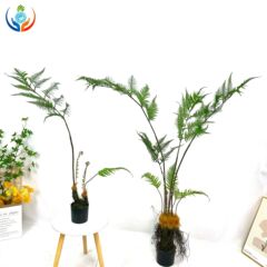 バイオニクス緑植造景シミュレーション金糸猿猿頭シダ類植物盆栽室内客間鉢植え装飾品