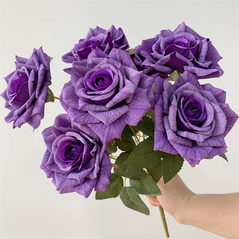 Roland Purple Bundle / Relieve