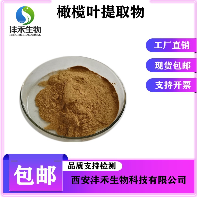 橄榄叶提取物10:1  现货包邮 橄榄苦甙 沣禾供应