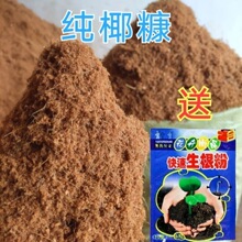营养土海南纯椰糠椰砖种菜养花换盆保水透气育苗通用型种植基质土