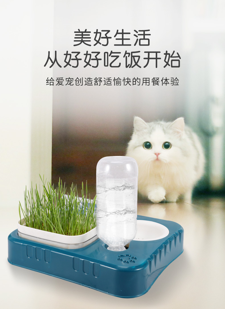 猫碗1_02.jpg