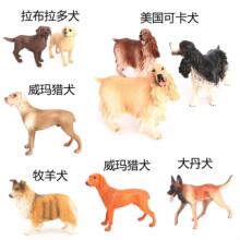 �羳ʵ��С������ɿ�Ȯ��������Ȯ����Ȯ������Ȯ��Ȯģ�Ͱڼ�