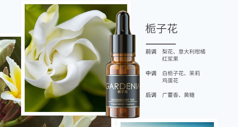 Car Perfume Indoor Car Aromatherapy Refill Liquid Household Essential Oil Cologne Ocean Flower Removal Odor Long-Lasting Light Fragrance