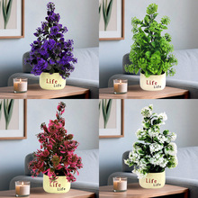 滨Сlife͏dҕ[С黨辰ٻϻ