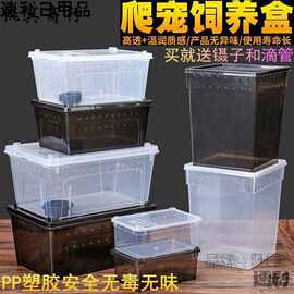 人渣盒爬虫箱螳螂跳蛛养蚕饲养盒爬行动物睫角寄居蟹饲养箱