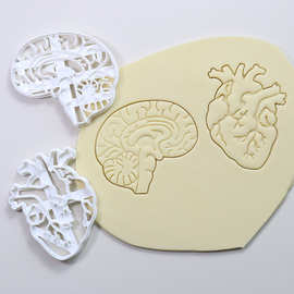 新款亚马逊塑料大脑心脏印章磨具白色压花工具人体器官印章模具