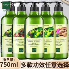 仙維娜洗髮水控油蓬鬆去屑止癢官方品牌柔順改善毛躁乾枯男女