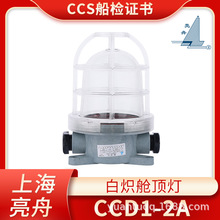 上海亮舟船用塑料白炽舱顶灯CCD1-2A甲板舱室照明灯220V60W正品