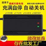 电动车电瓶充电器伏爱玛雅迪小刀电动自行车三轮锂电池电机见描述