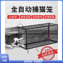 全自动捕猫笼人道救助捉猫笼超市抓猫笼新款抓猫器逮猫神器捕猫器