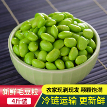 毛豆仁新鲜现摘农家速冻大粒毛豆粒蔬菜冷冻嫩毛豆米生青豆粒去壳