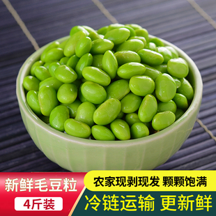 ë�������r�Fժ�r���ك�����ë�����߲������ë�������ඹ��ȥ��