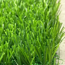 ׃@ƺ Sa˹ƺĥ؏ܶȸ߷Ƥ