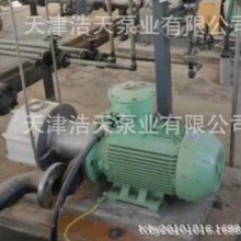 氟塑料转子泵TDFB 盐酸 硫酸 硝酸转子泵 氢氧化钠 烧碱转子泵