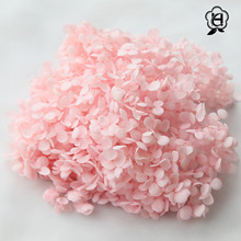 安娜绣球20g装教师节DIY花材小叶绣球花小盒干花永生花绣球花材料