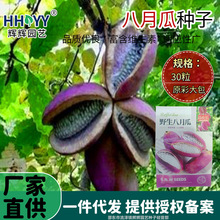 F؛l¹ϷNϹƘNֲ¹ϰըN