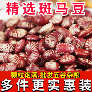 ���R�����lһ�����l�I�����r�Һɰ������˶���t���tܿ����ܿ��