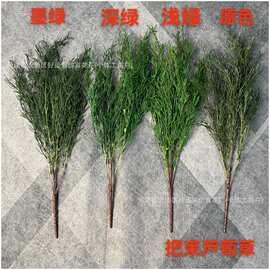 芦荀草 仿真绿植新款把束芦荀草婚庆插花装饰造景龙须草 厂家批发