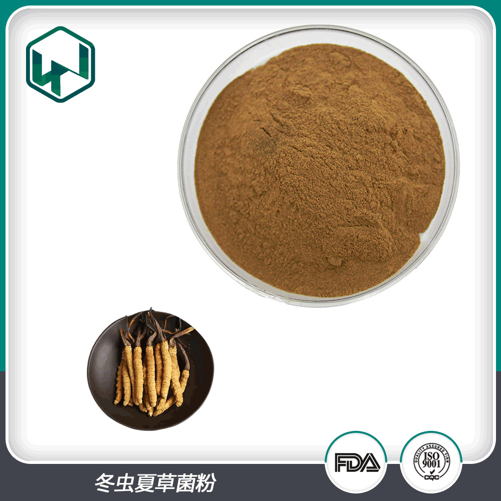 冬虫夏草菌粉 多糖7%腺苷0.3%甘露醇7%食品保健原料 现货包邮直发