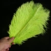 Fruit green