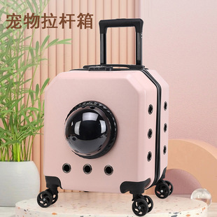 Pet luggage case wholesale out cat luggage case generation cross-border breathable dog space capsule