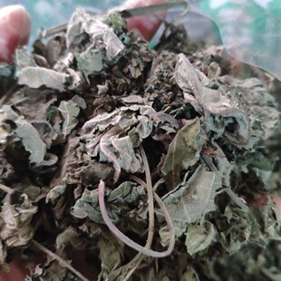 ��ș�� �����~ �����~1kg �����~ �����~ �����~