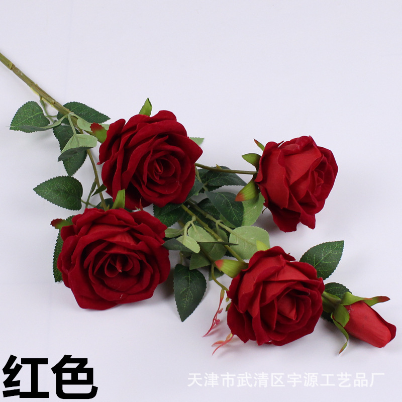 img_8062_副本_副本.jpg
