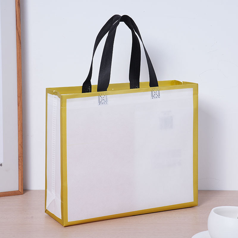 Tienda de ropa no tejida bolsa de mano bolsa de regalo para ropa de embalaje ecológico compras ropa de mujer personalizada al por mayor