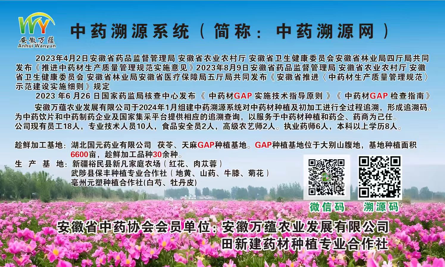 Dried Mulberry Fruit He Shou Wu Berry Sang Shen Zi 500g 250g for Tea Wine and Snacking overview