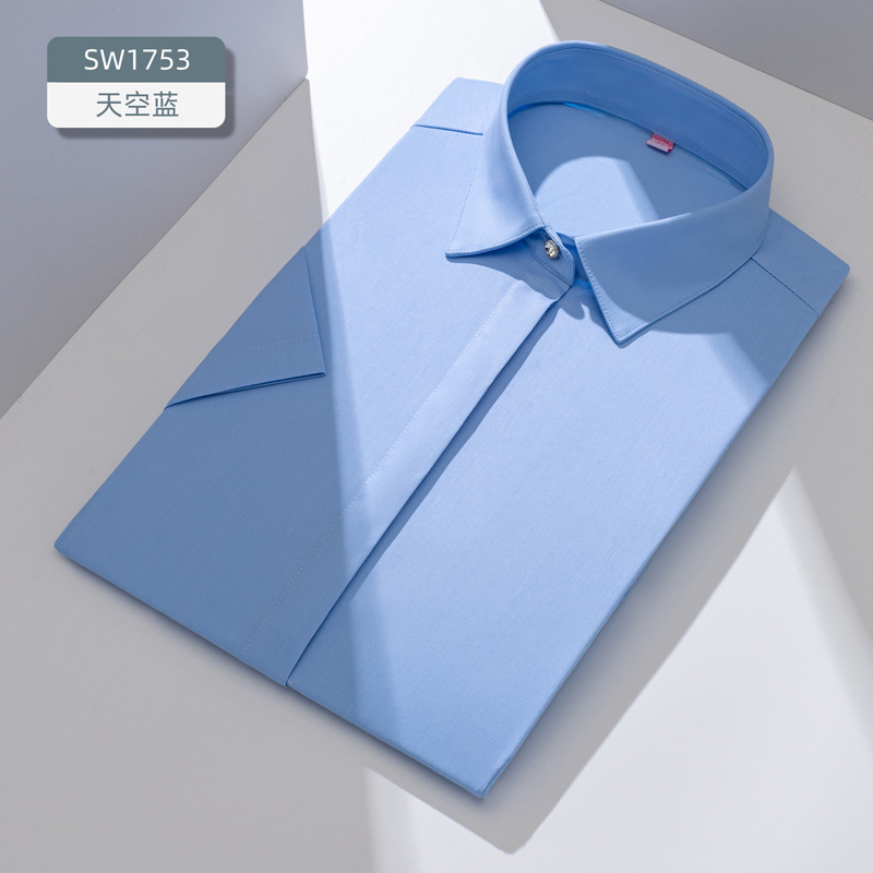 스카이 블루 칼라