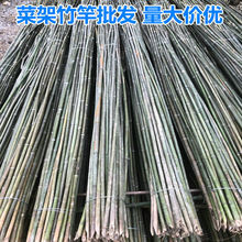 小竹竿细竹子棍1米2米菜园竹杆子搭架豆角黄瓜架竹杆架种菜竹竿子