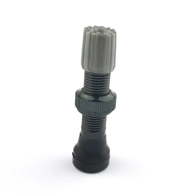 tubeless beauty valve, valve