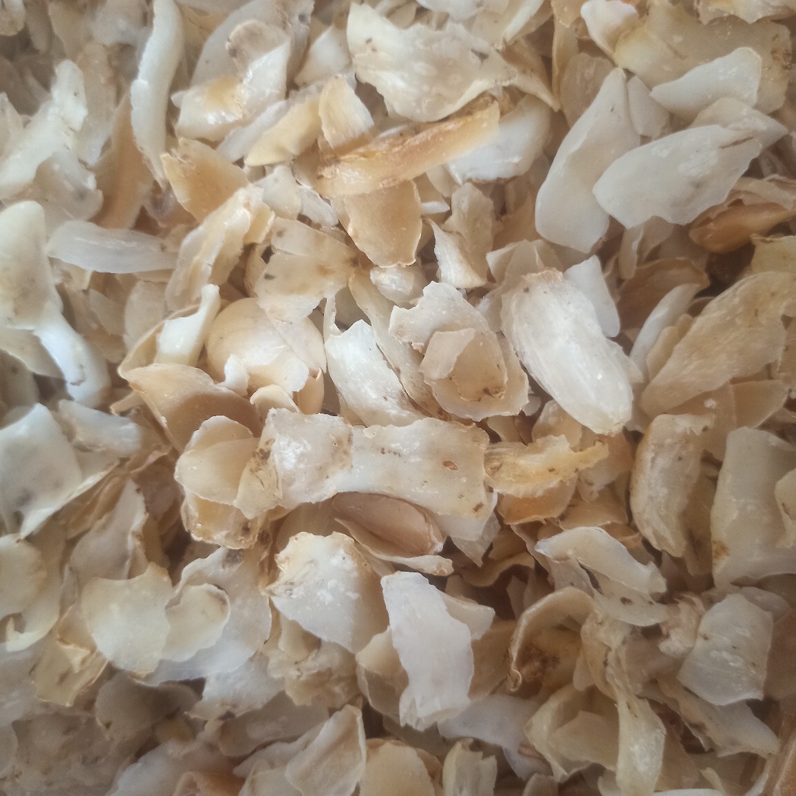 兰州百合干货批发百合食用正宗干货特产甜品煲汤食材厚肉软糯精品