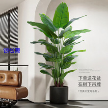 B滨ٻ[O҃ȿ͏dbƷ[ܸ߶pݼپGֲ