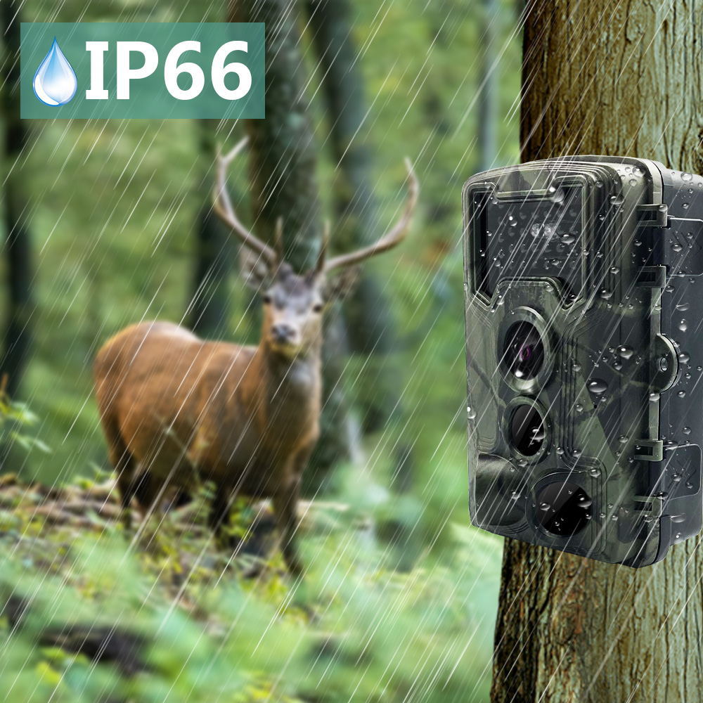 Cámara de vigilancia para deportes al aire libre, sensor infrarrojo patentado popular, comercio exterior, superventas, foto