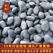黑色鹅卵石字景观石铺地石头烧烤石子雨花石园林工程装修造景批发