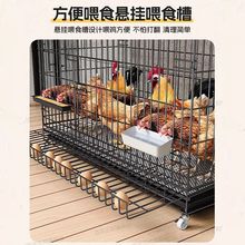 �u�\�Ӽ����B�u�\��̖�ش�̖�Ԅ���S�ۯB�Bֳ�\�u���F�z�W���Z�\