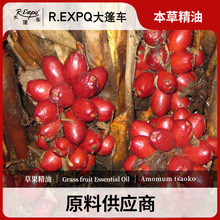 草果精油原料批发芳疗护理调香按摩精油Grass fruit大篷车精油