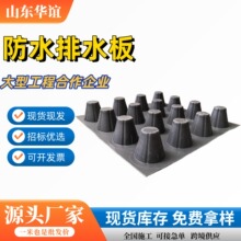 现货防水排水板屋顶花园车库防渗水凹凸疏水板高抗压HDPE排水板