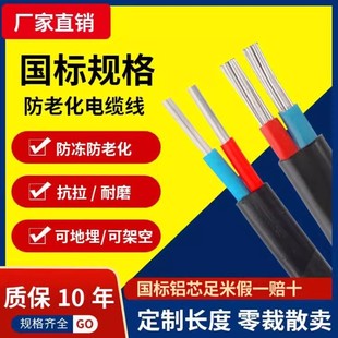 National Standard 2-Core Aluminum Core Household Outdoor Cable Wire 4 6 10 16 25 Square Double-Core Aluminum Wire Sheathed Wire