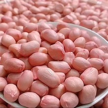 大量批发 白沙花生米农家自产花生米五谷杂粮花生米散装一件代发