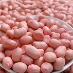 大量批发 白沙花生米农家自产花生米五谷杂粮花生米散装一件代发